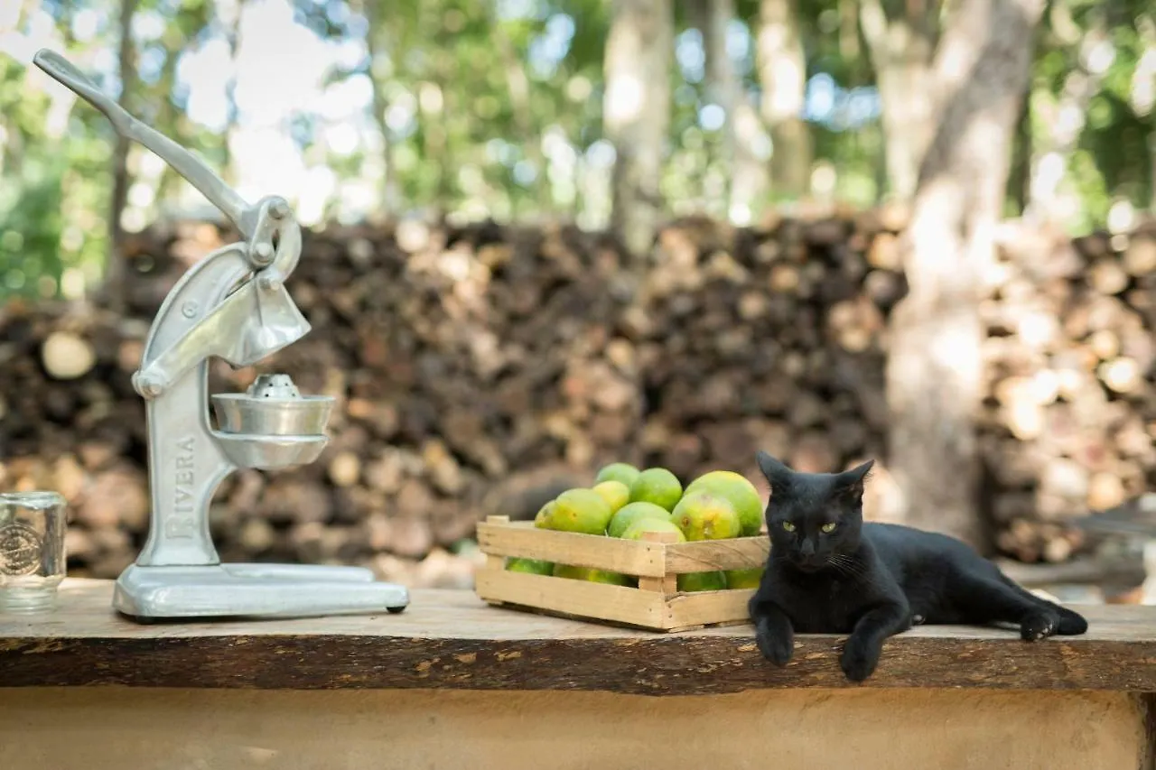 Holiday home Meli-Melo P&B Villa Tulum Mexico